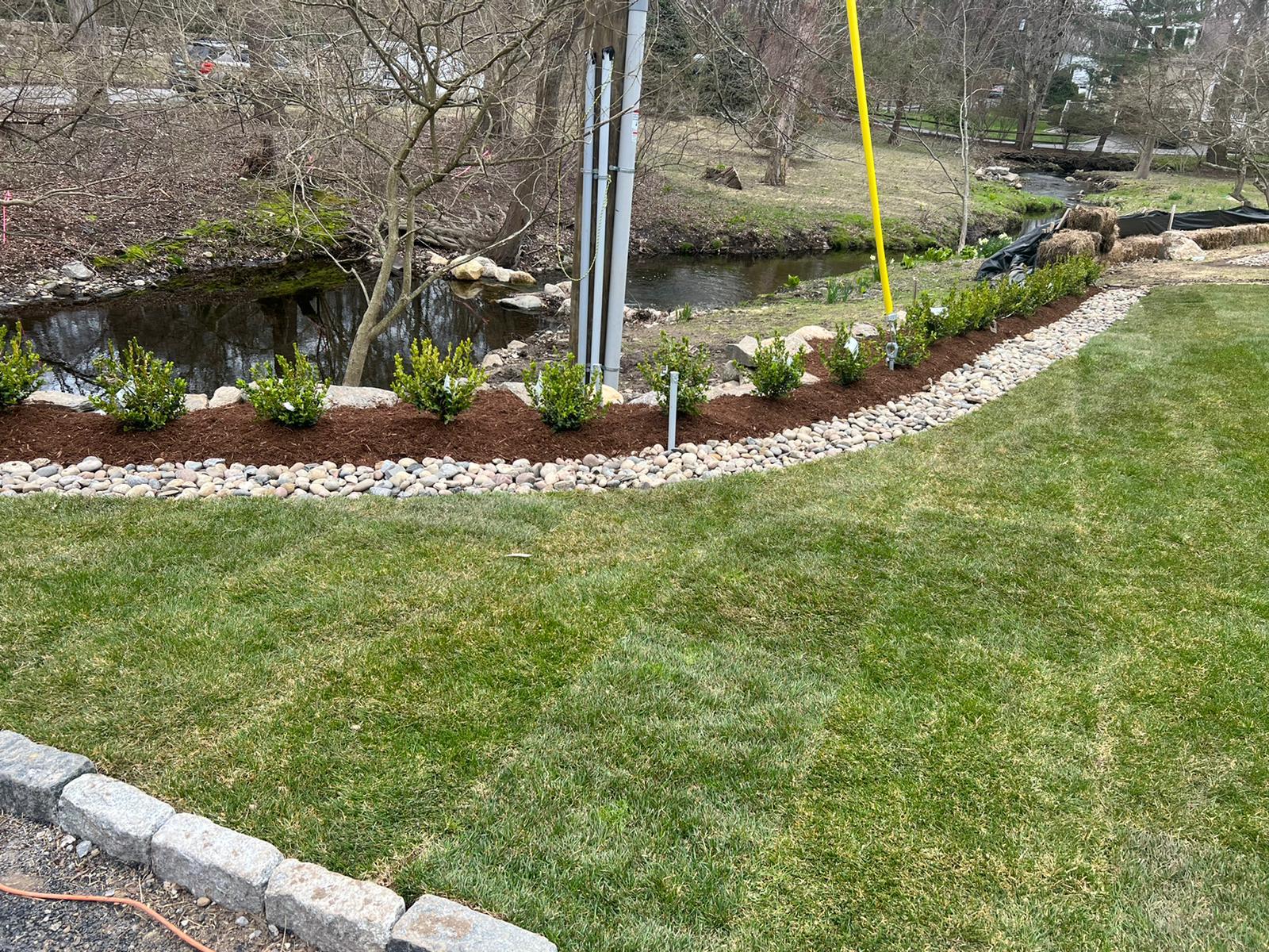 A row of small green shrubs planted in a curved mulch bed near a pond