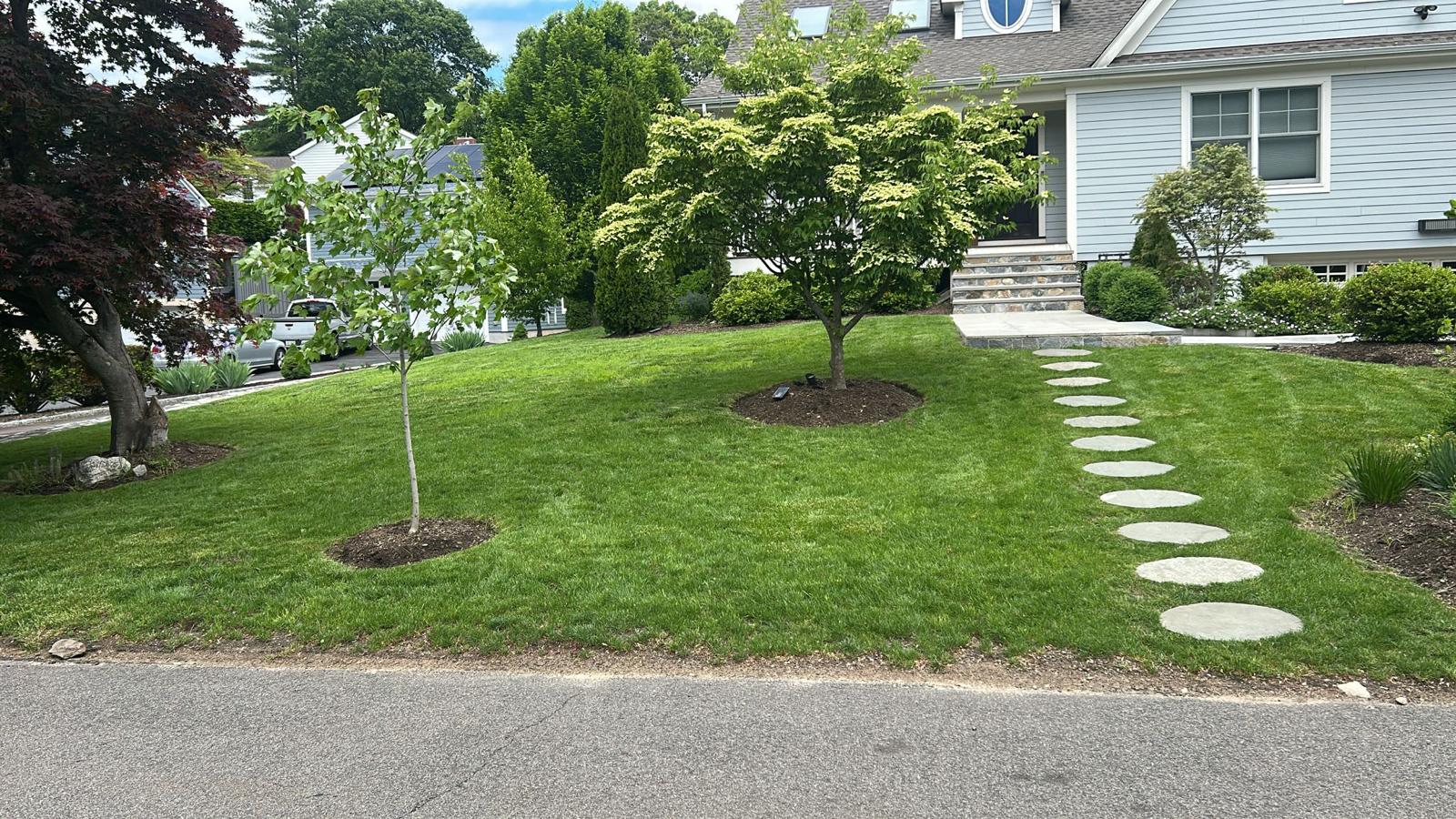 Lush green lawn with a stone paver path leading to a suburban house